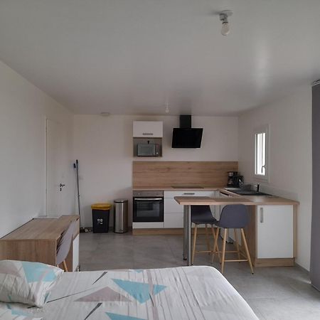 Studio Lumineux Avec Terrasse La Roche-sur-Yon Esterno foto